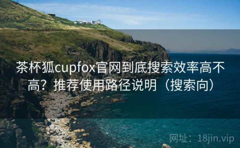 茶杯狐cupfox官网到底搜索效率高不高？推荐使用路径说明（搜索向）