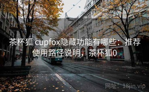 茶杯狐 cupfox隐藏功能有哪些：推荐使用路径说明，茶杯狐0