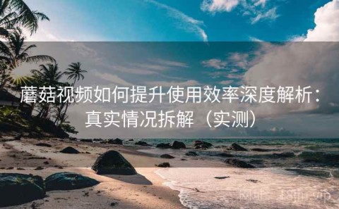 蘑菇视频如何提升使用效率深度解析：真实情况拆解（实测）