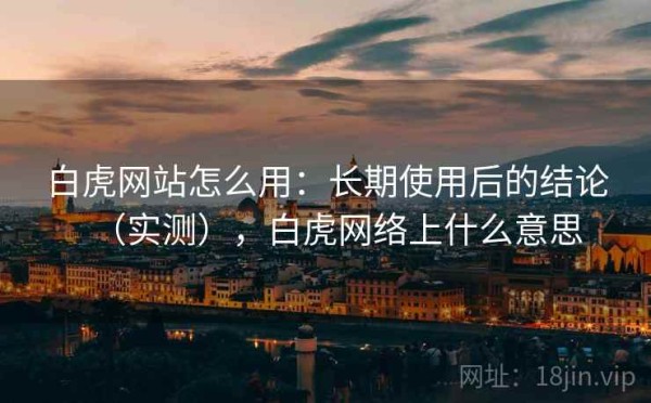 白虎网站怎么用：长期使用后的结论（实测），白虎网络上什么意思