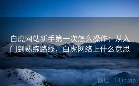 白虎网站新手第一次怎么操作：从入门到熟练路线，白虎网络上什么意思