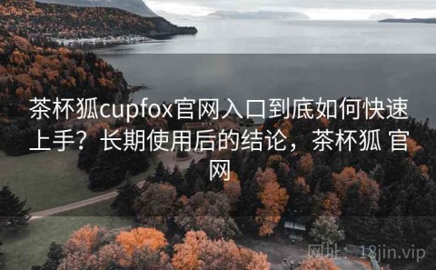茶杯狐cupfox官网入口到底如何快速上手？长期使用后的结论，茶杯狐 官网