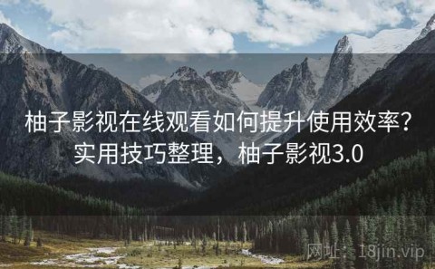 柚子影视在线观看如何提升使用效率？实用技巧整理，柚子影视3.0