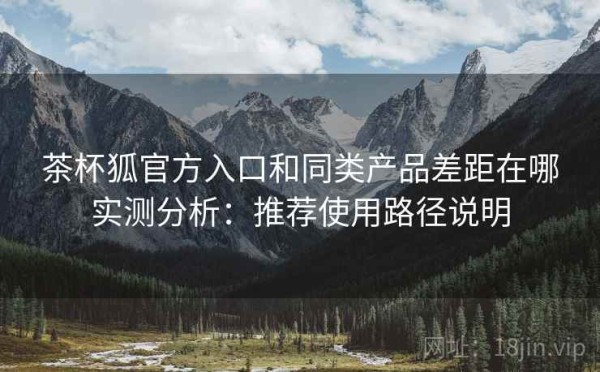 茶杯狐官方入口和同类产品差距在哪实测分析：推荐使用路径说明