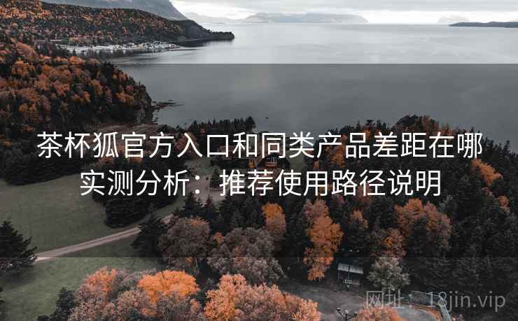 茶杯狐官方入口和同类产品差距在哪实测分析：推荐使用路径说明