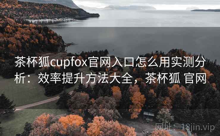 茶杯狐cupfox官网入口怎么用实测分析：效率提升方法大全，茶杯狐 官网