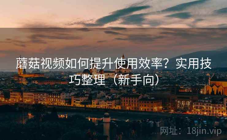 蘑菇视频如何提升使用效率？实用技巧整理（新手向）
